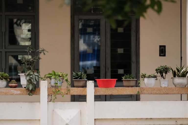 Altan med mange planter i krukker