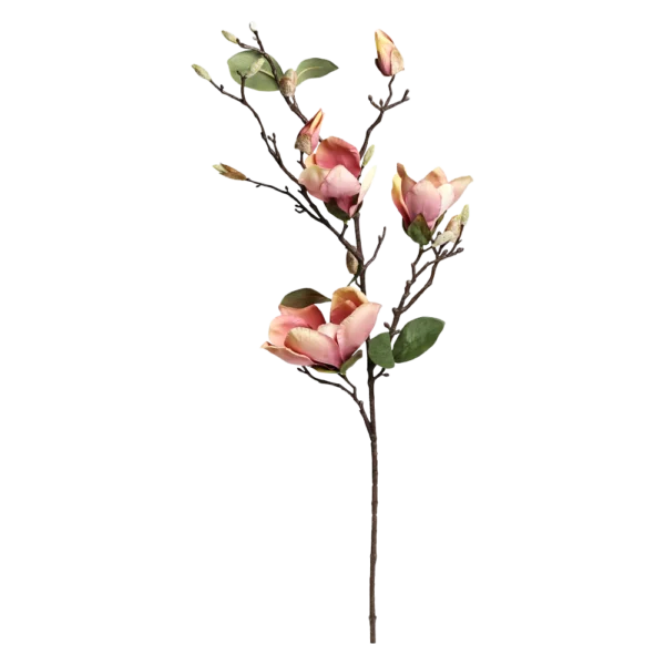 Chic Antique FLEUR Magnolia gammel rosa