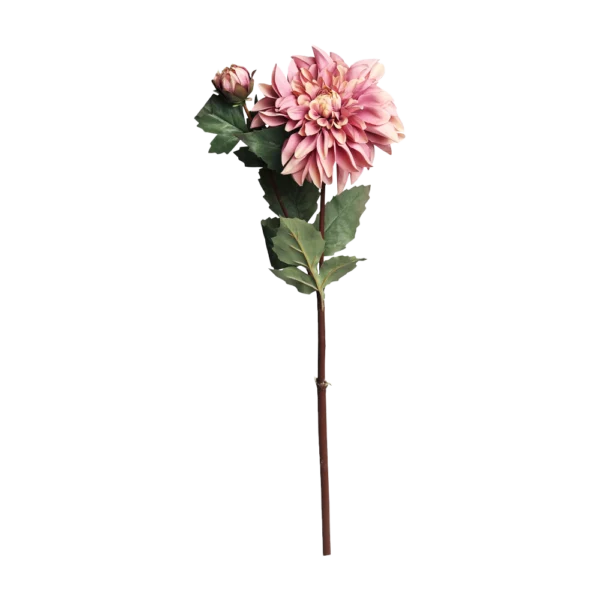 Chic Antique FLEUR Dahlia gammel rosa