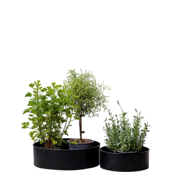 Plantebakke Rund