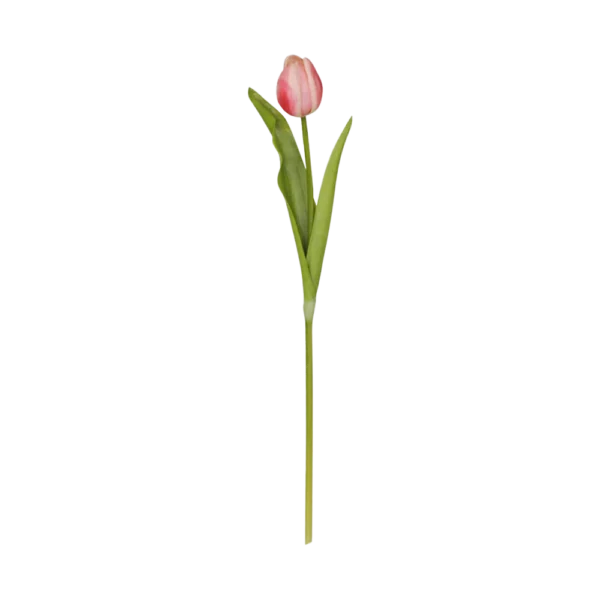 Chic Antique FLEUR Tulipan lyserød