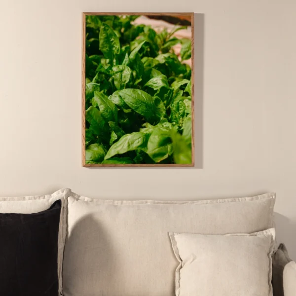 Green Leaf - Vælg mellem fire plakat størrelser