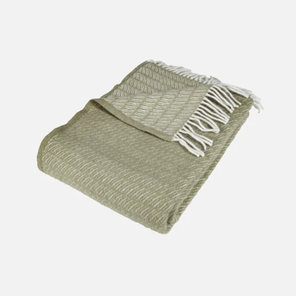 Arctic SAGA Olive uldplaid