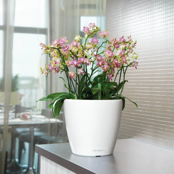 Lechuza Classico Premium LS indendørs krukke til blomster med selvvandingssystem Højglans Ø28 x H26 cm