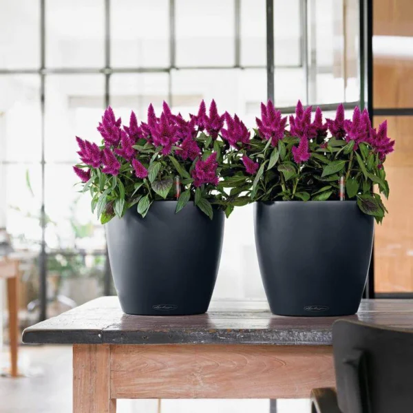 Lechuza Classico Color krukke til blomster med selvvandingssystem Slate Ø21 x H20 cm