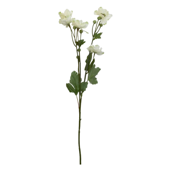 Chic Antique FLEUR Fransk anemone creme