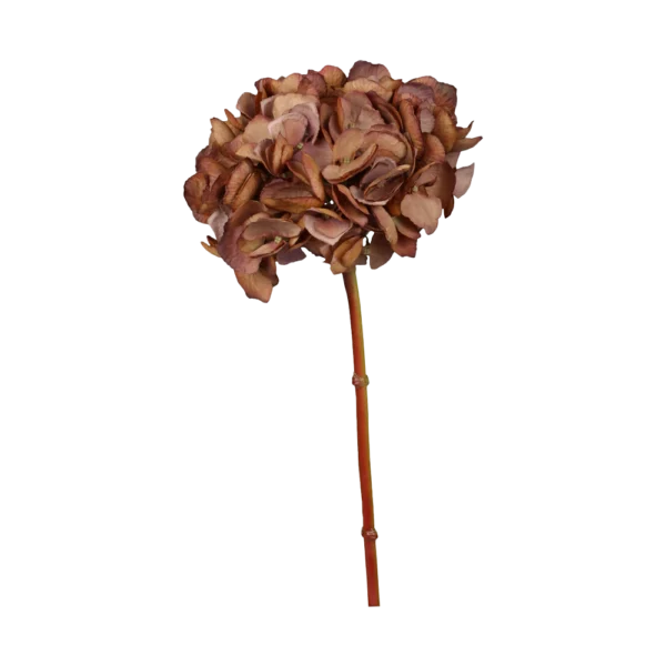 Chic Antique FLEUR Hortensia