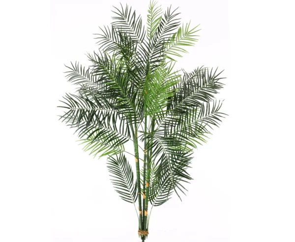 Areca palme med 15 palmeblade