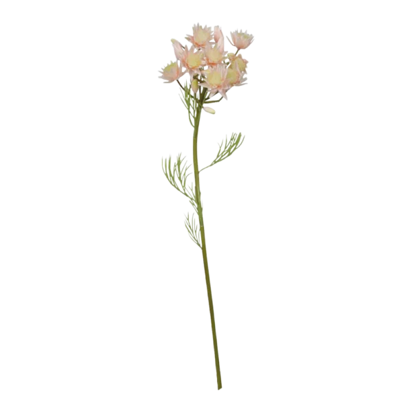 Chic Antique FLEUR Grøftekantsblomst rosa