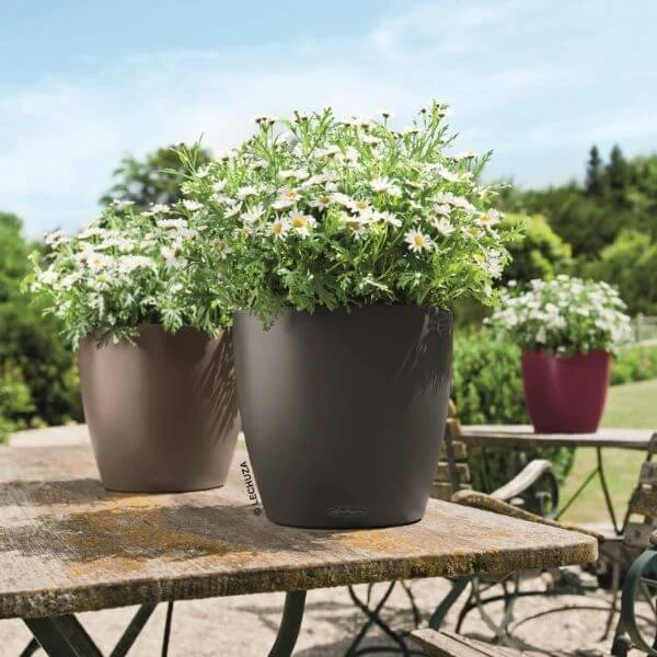 Lechuza Classico Color krukke til blomster med selvvandingssystem Slate Ø28 x H26 cm