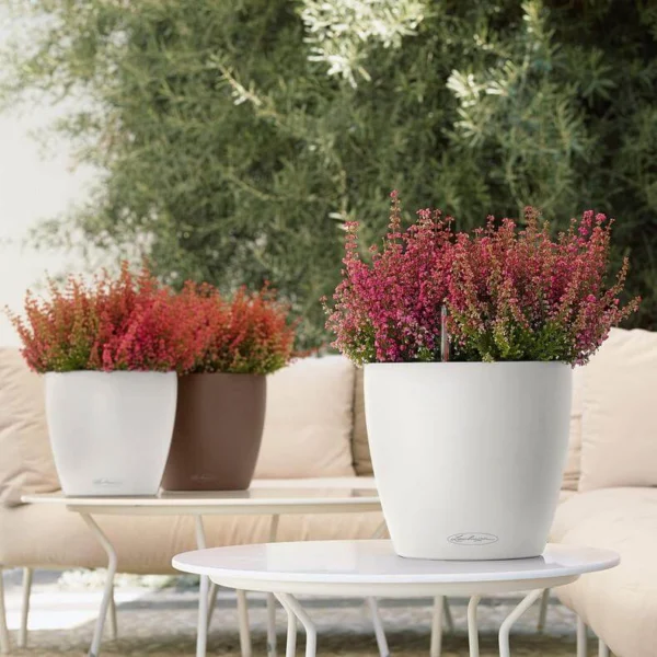 Lechuza Classico Color krukke til blomster med selvvandingssystem Hvid Ø21 x H20 cm