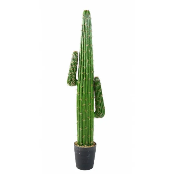 Kaktus Mexico 145 cm med 2 arme