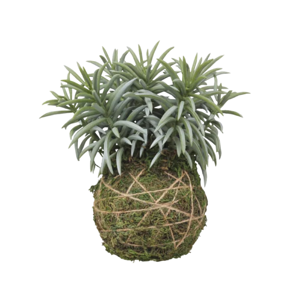Chic Antique FLEUR moskugle m. plante