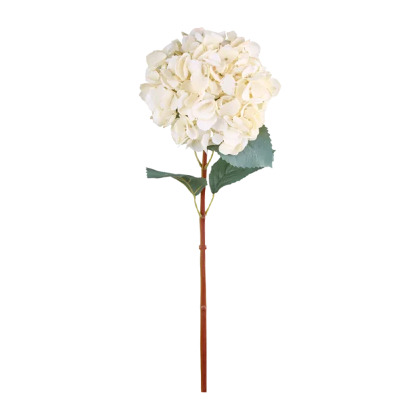 Chic Antique FLEUR Hortensia med blade