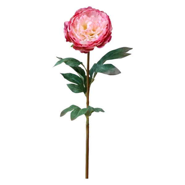 Chic Antique FLEUR Pæon rosa