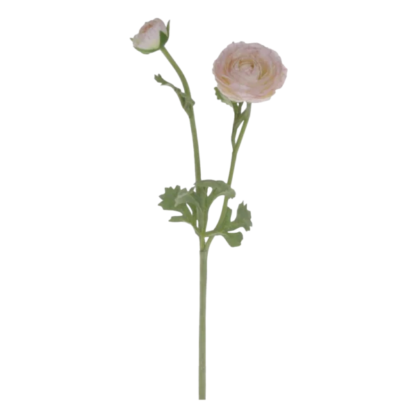 Chic Antique FLEUR Ranunkel antik hvid