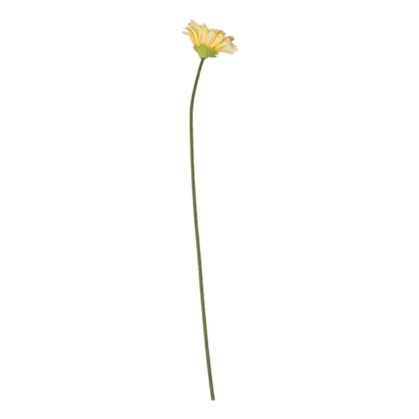 Chic Antique FLEUR Gerbera melon